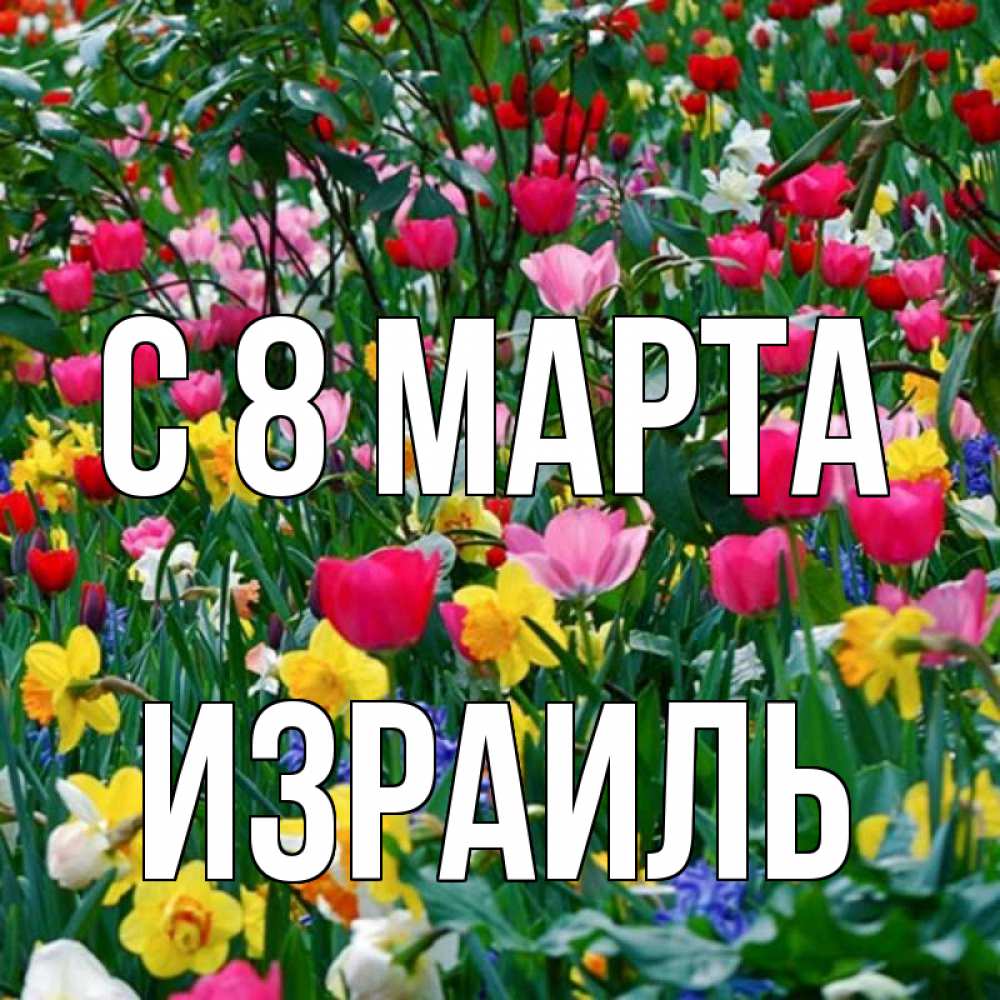 Открытка на каждый день с именем, Израиль С 8 МАРТА с международным женским днем поздравления для женщины Прикольная открытка с пожеланием онлайн скачать бесплатно 