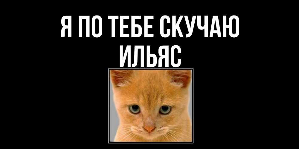Открытка на каждый день с именем, Ильяс Я по тебе скучаю открытки рыжий котенок скучает по тебе Прикольная открытка с пожеланием онлайн скачать бесплатно 