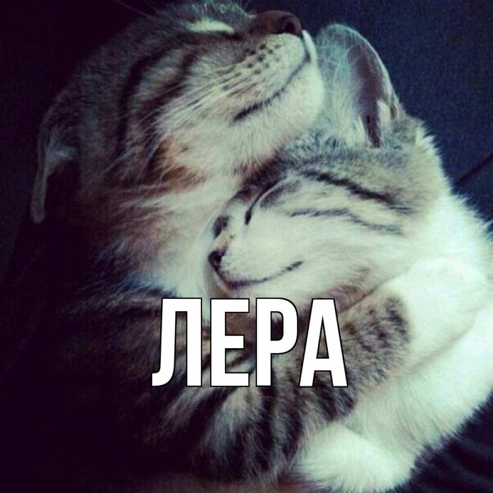 Открытка на каждый день с именем, Лера Главная полосатики Прикольная открытка с пожеланием онлайн скачать бесплатно 
