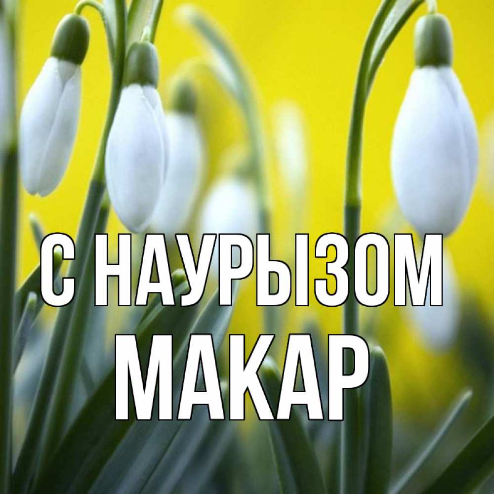 Открытка на каждый день с именем, Макар С наурызом весенние цветы Прикольная открытка с пожеланием онлайн скачать бесплатно 