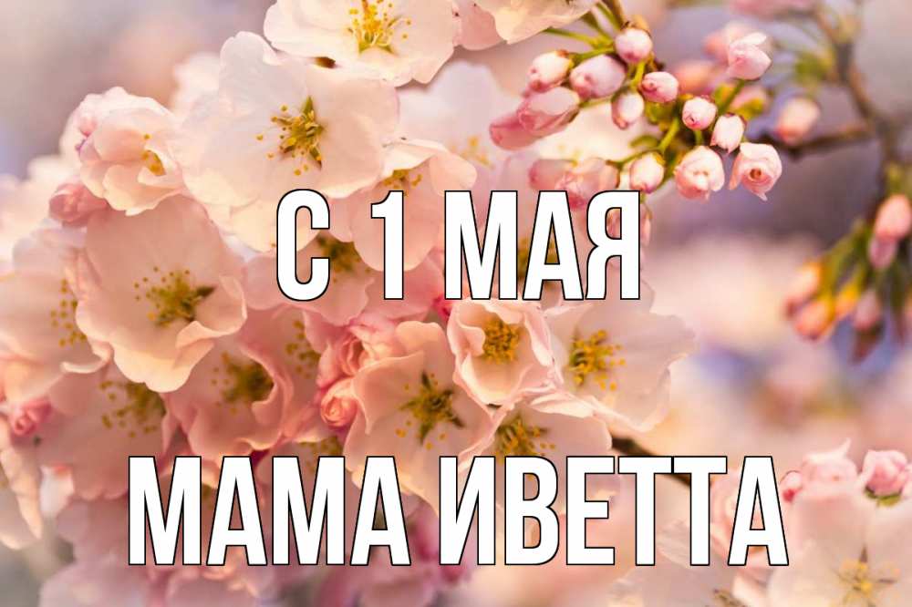 Открытка на каждый день с именем, Мама-Иветта С 1 мая С 1 мая Прикольная открытка с пожеланием онлайн скачать бесплатно 