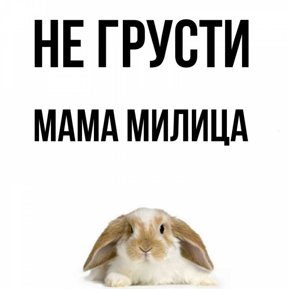 Открытка на каждый день с именем, Мама-Милица Не грусти коричнево белый заяц с большими ушками Прикольная открытка с пожеланием онлайн скачать бесплатно 