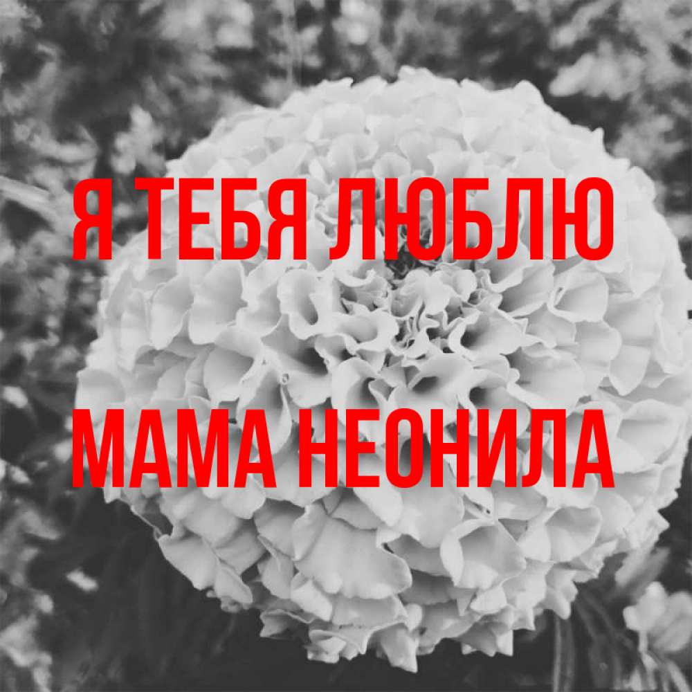 Открытка на каждый день с именем, Мама-Неонила Я тебя люблю подпись Прикольная открытка с пожеланием онлайн скачать бесплатно 