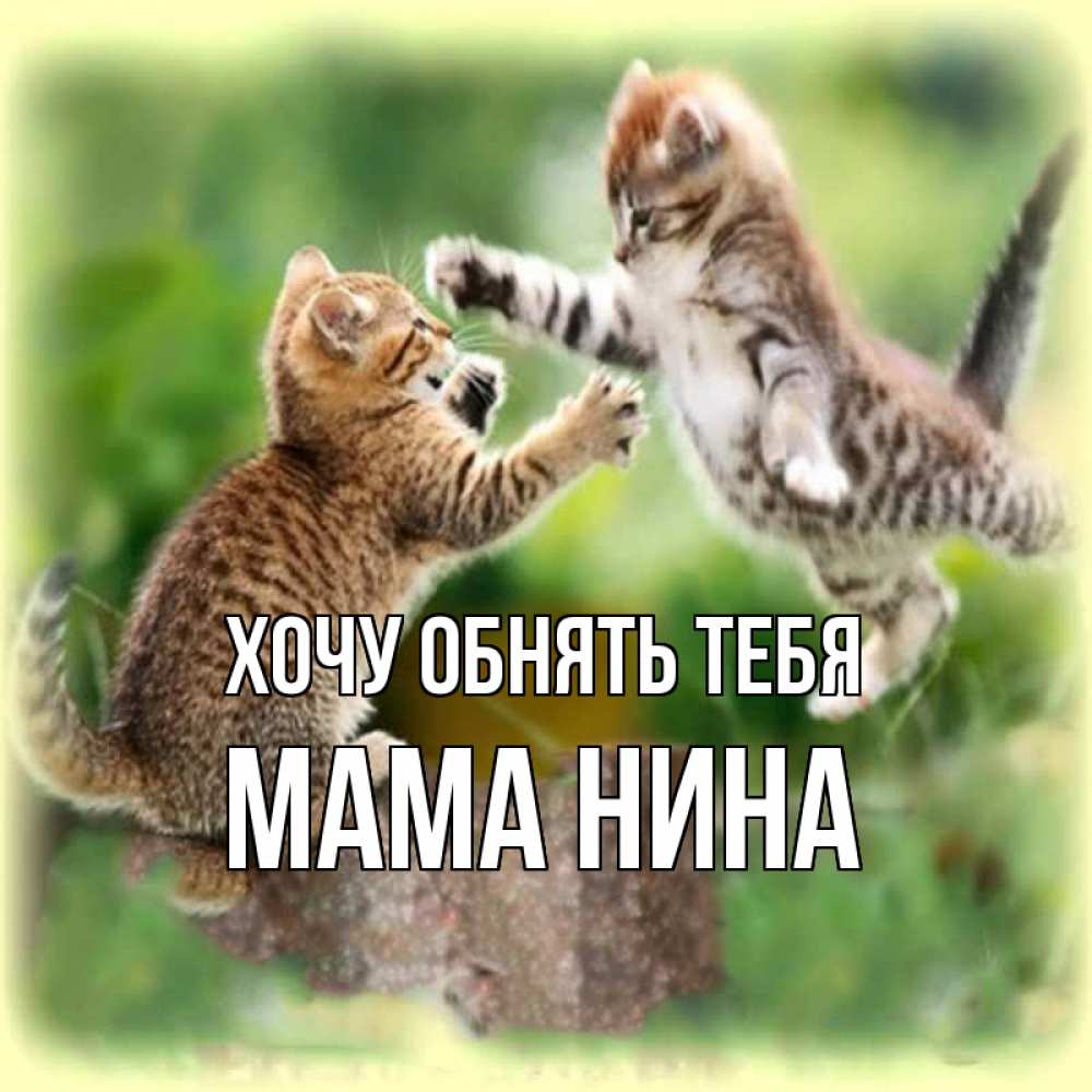 Открытка на каждый день с именем, Мама-Нина Хочу обнять тебя игры котят Прикольная открытка с пожеланием онлайн скачать бесплатно 
