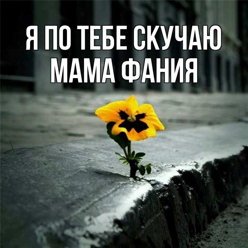 Открытка на каждый день с именем, Мама-Фания Я по тебе скучаю надеюсь будет лучше Прикольная открытка с пожеланием онлайн скачать бесплатно 