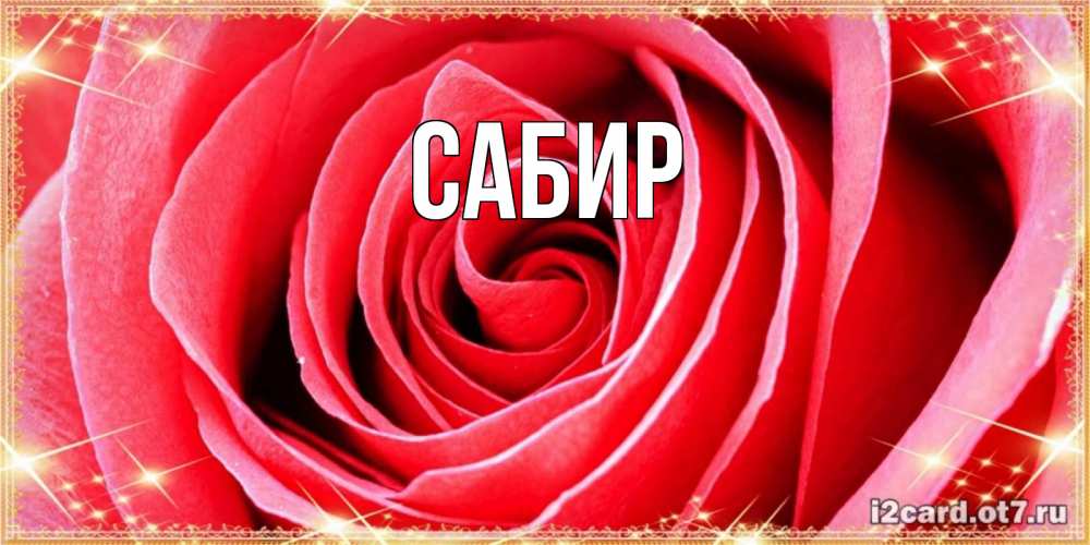 Открытка на каждый день с именем, Сабир Главная розовая роза очень крупный бутон Прикольная открытка с пожеланием онлайн скачать бесплатно 