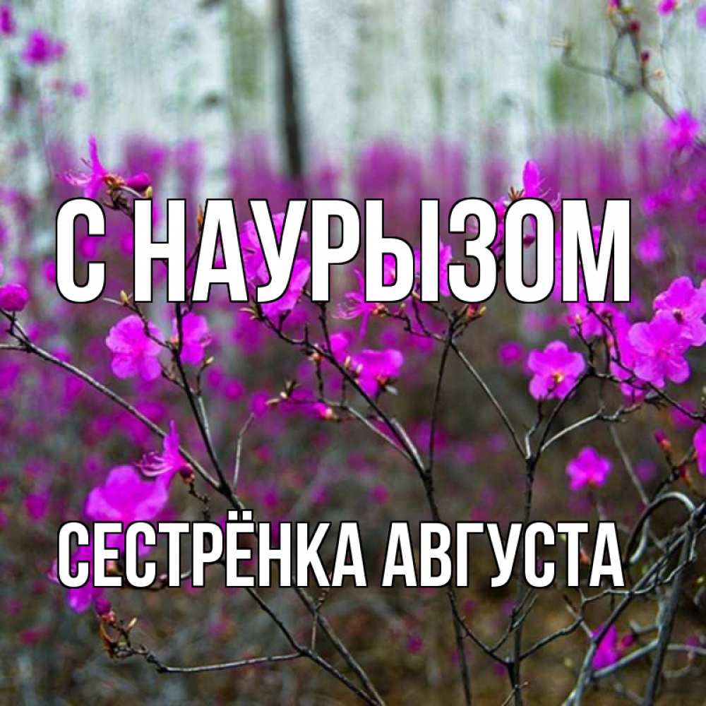 Открытка на каждый день с именем, Сестрёнка-Августа С наурызом дикие цветы Прикольная открытка с пожеланием онлайн скачать бесплатно 
