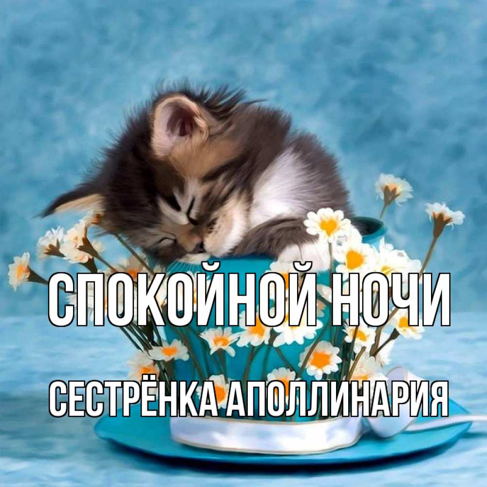 Открытка на каждый день с именем, Сестрёнка-Аполлинария Спокойной ночи котенок спит в кружке с блюдцем Прикольная открытка с пожеланием онлайн скачать бесплатно 