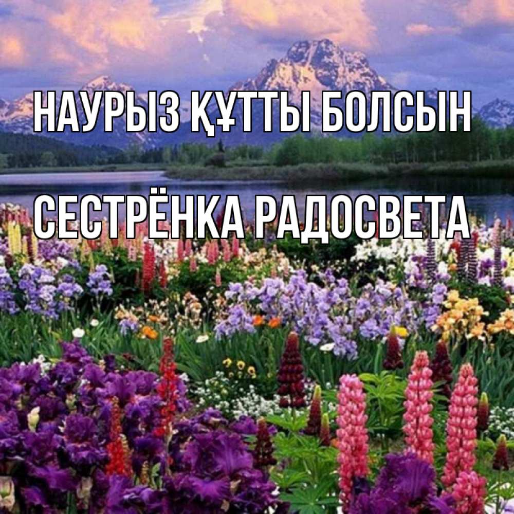 Открытка на каждый день с именем, Сестрёнка-Радосвета Наурыз құтты болсын наурыз Прикольная открытка с пожеланием онлайн скачать бесплатно 