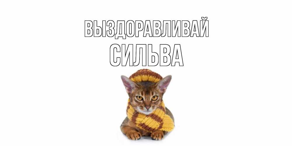 Открытка на каждый день с именем, Сильва Выздоравливай родные не болейте Прикольная открытка с пожеланием онлайн скачать бесплатно 