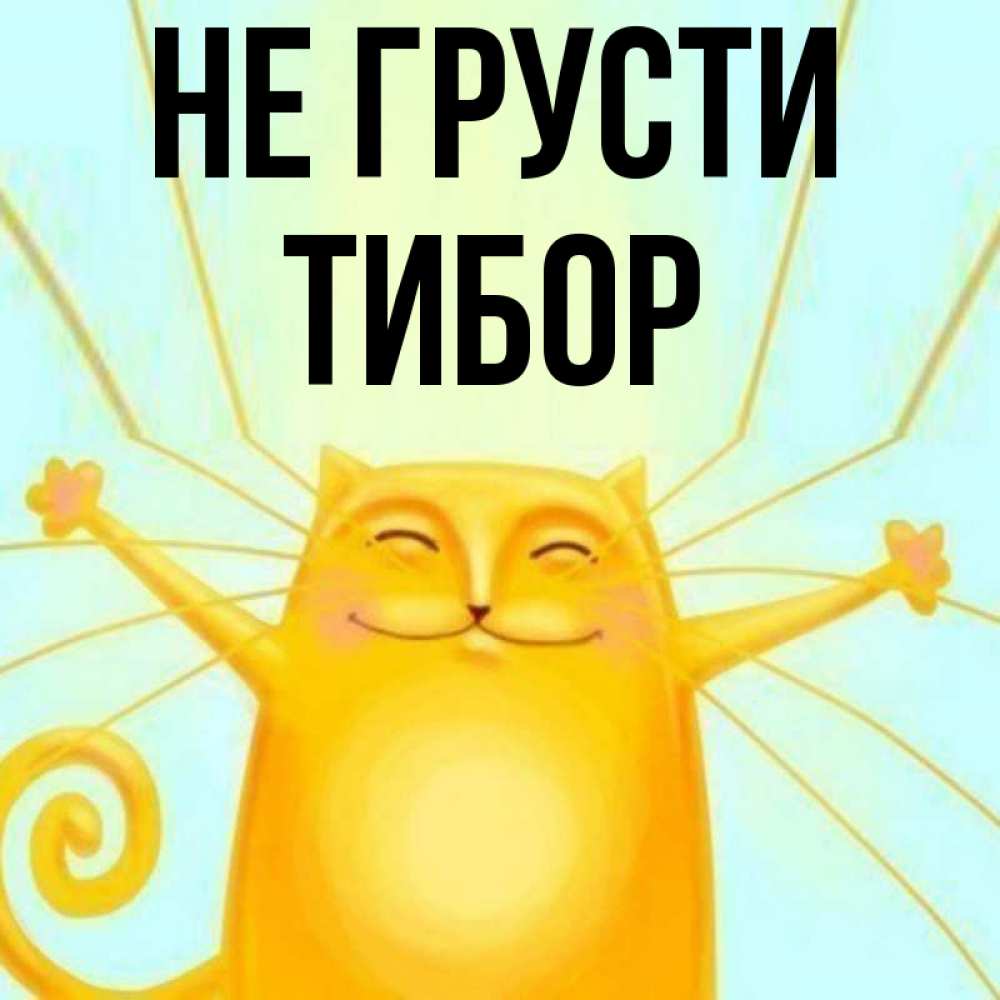 Открытка на каждый день с именем, Тибор Не грусти обнимашки усатые Прикольная открытка с пожеланием онлайн скачать бесплатно 