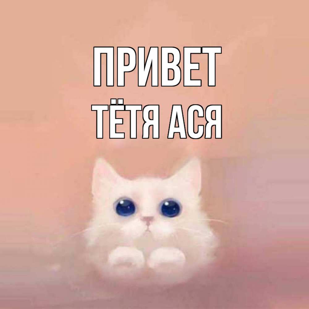 Открытка на каждый день с именем, Тётя-Ася Привет котик белый в полете Прикольная открытка с пожеланием онлайн скачать бесплатно 