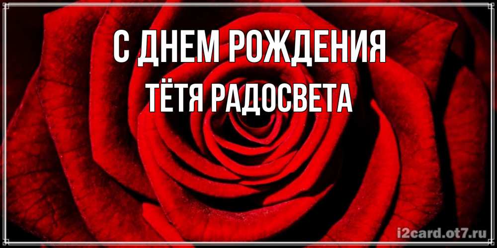 Открытка на каждый день с именем, Тётя-Радосвета С днем рождения алая роза Прикольная открытка с пожеланием онлайн скачать бесплатно 