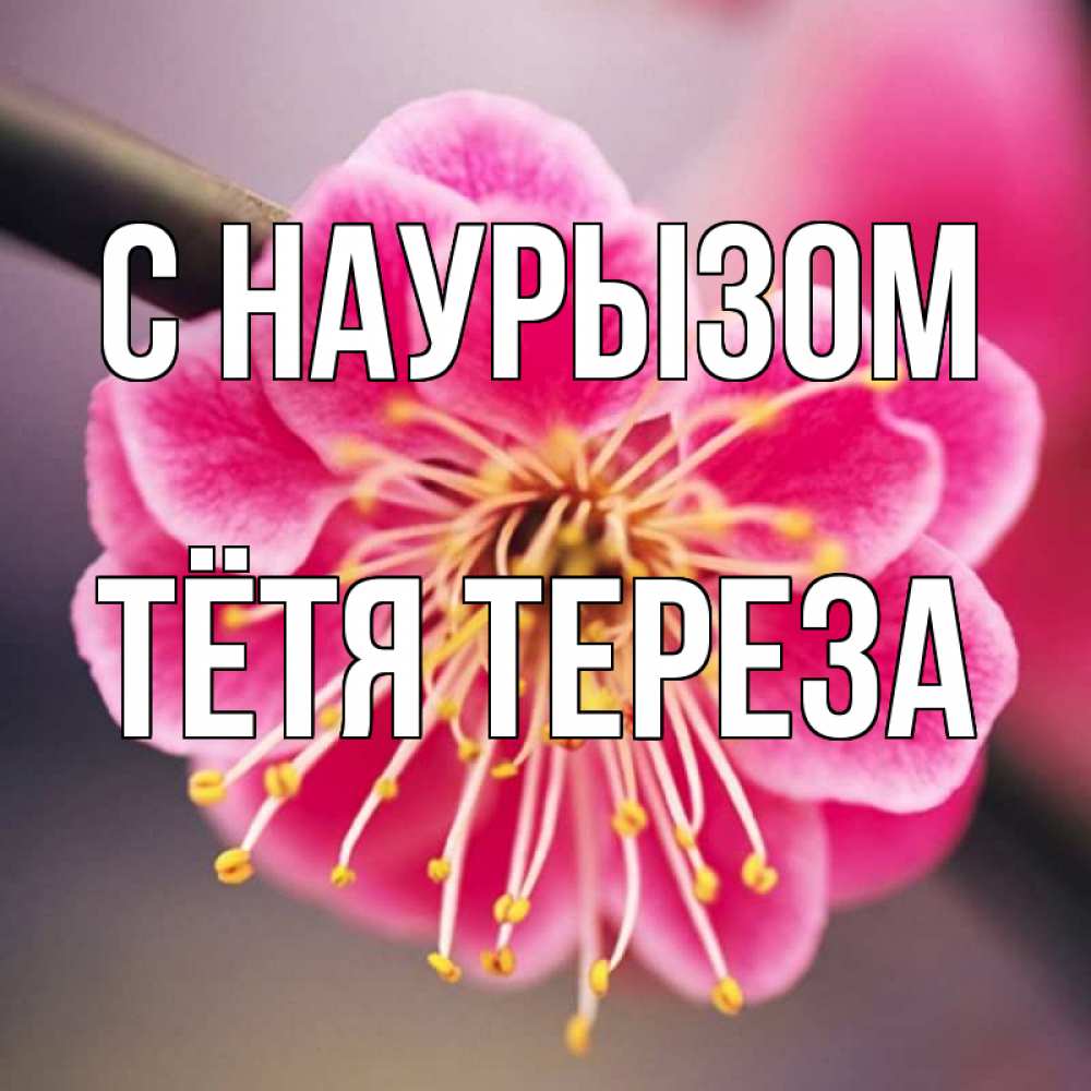 Открытка на каждый день с именем, Тётя-Тереза С наурызом цветы Прикольная открытка с пожеланием онлайн скачать бесплатно 