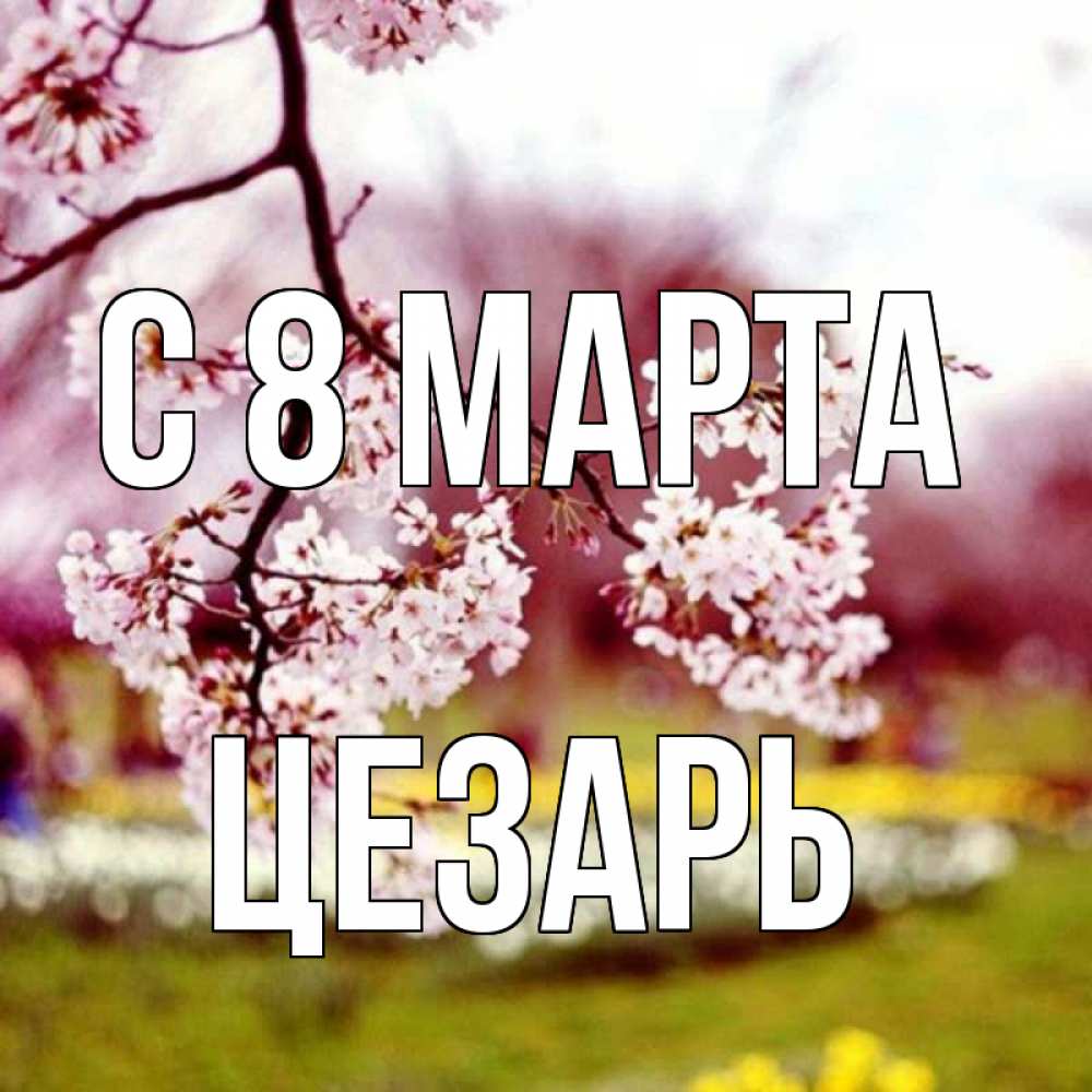 Открытка на каждый день с именем, Цезарь С 8 МАРТА яблоня Прикольная открытка с пожеланием онлайн скачать бесплатно 