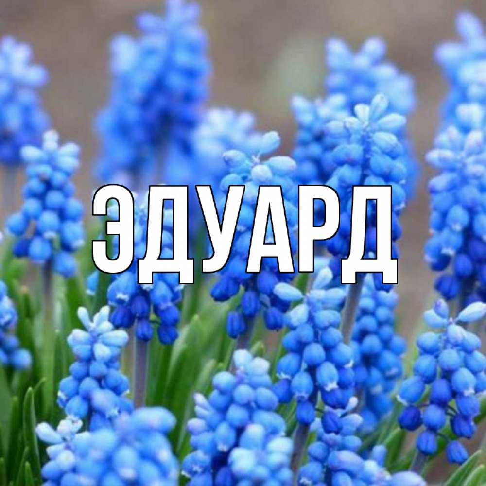 Открытка на каждый день с именем, Эдуард Главная Поздравительная открытка для женщин с цветами на праздничную дату Прикольная открытка с пожеланием онлайн скачать бесплатно 