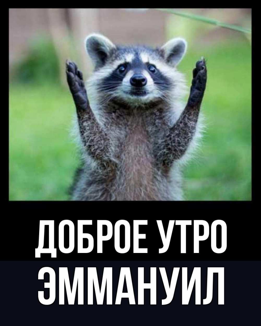Открытка на каждый день с именем, Эммануил Доброе утро хорошее настроение утречком Прикольная открытка с пожеланием онлайн скачать бесплатно 
