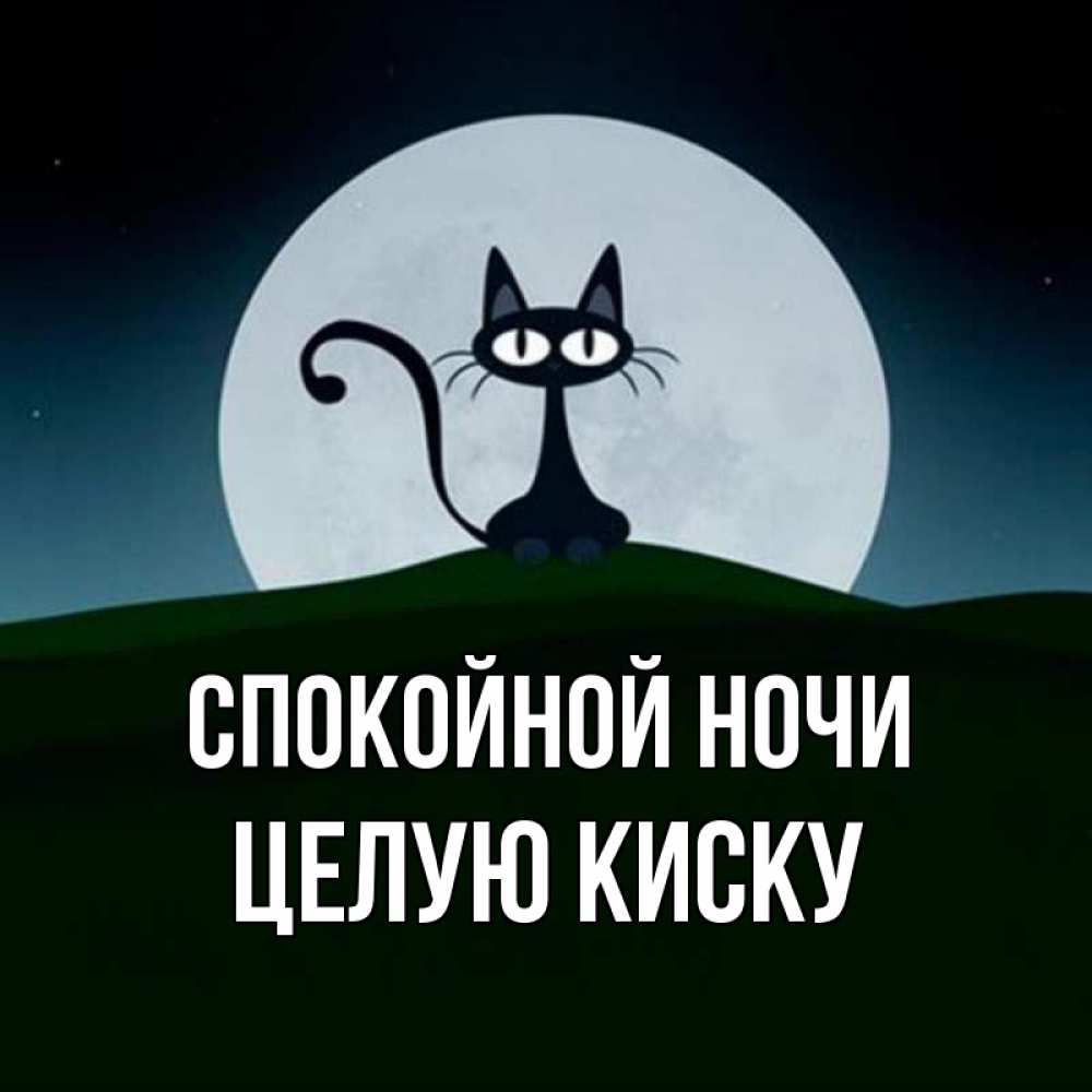 Открытка на каждый день с именем, целую-киску Спокойной ночи хорошо выспаться ночью и без кошмаров Прикольная открытка с пожеланием онлайн скачать бесплатно 