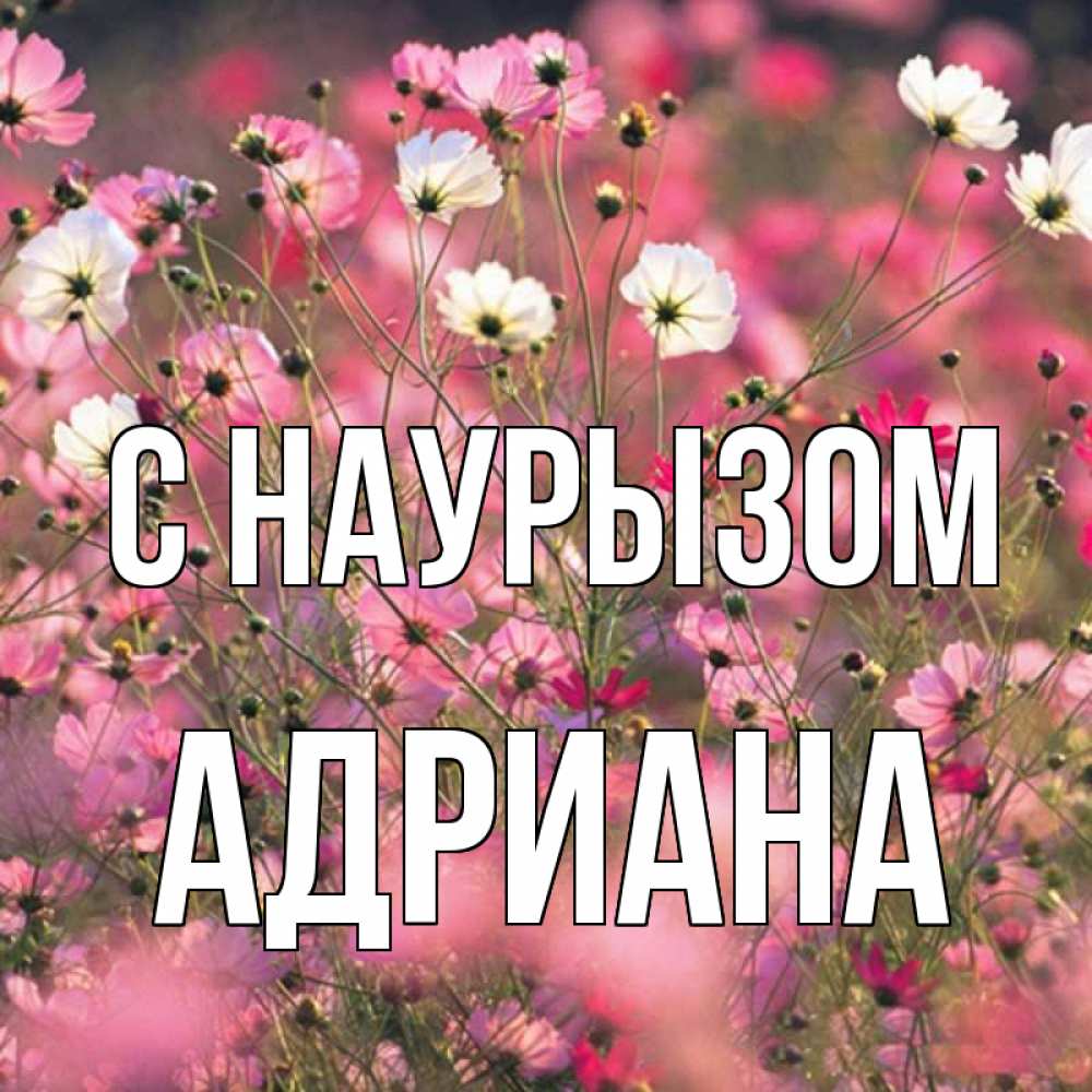 Открытка на каждый день с именем, Адриана С наурызом красиво 1 Прикольная открытка с пожеланием онлайн скачать бесплатно 