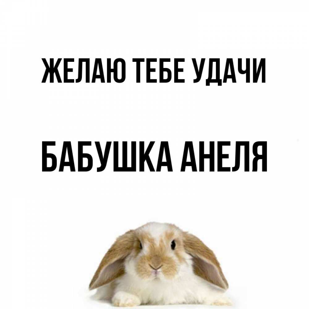 Открытка на каждый день с именем, Бабушка-Анеля Желаю тебе удачи открытки с произвольным текстом который можно вставить в открытку и создать ее самостоятельно бесплатно онлайн Прикольная открытка с пожеланием онлайн скачать бесплатно 