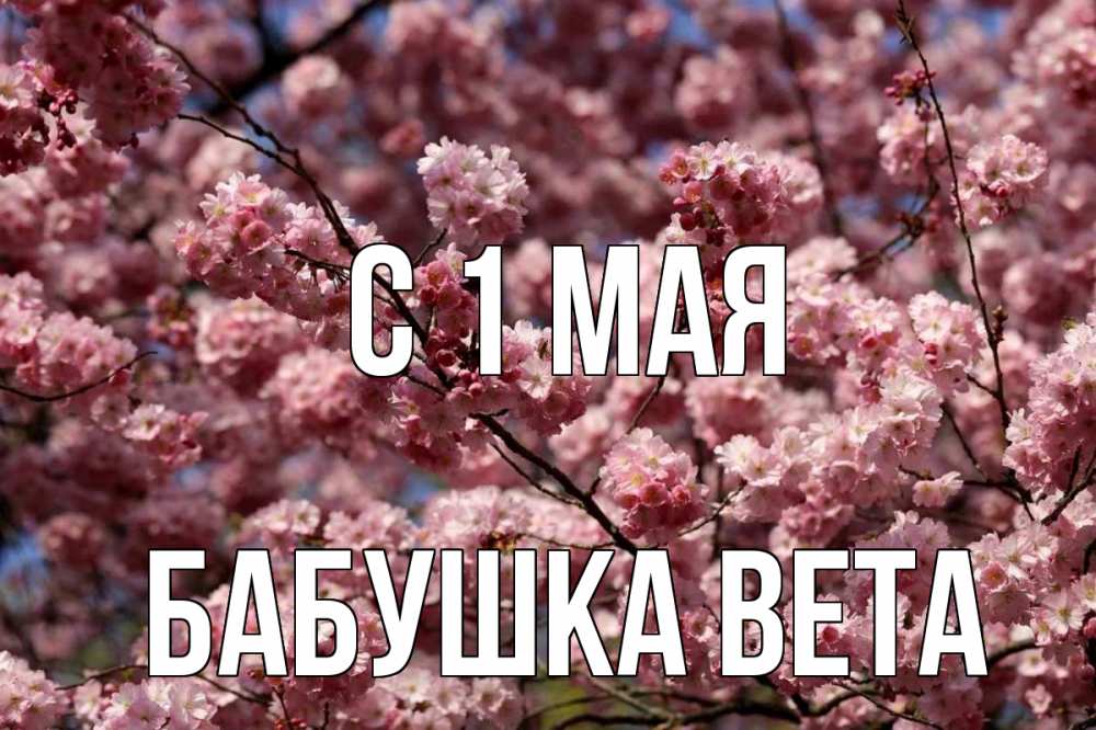 Открытка на каждый день с именем, Бабушка-Вета С 1 мая С 1 мая Прикольная открытка с пожеланием онлайн скачать бесплатно 