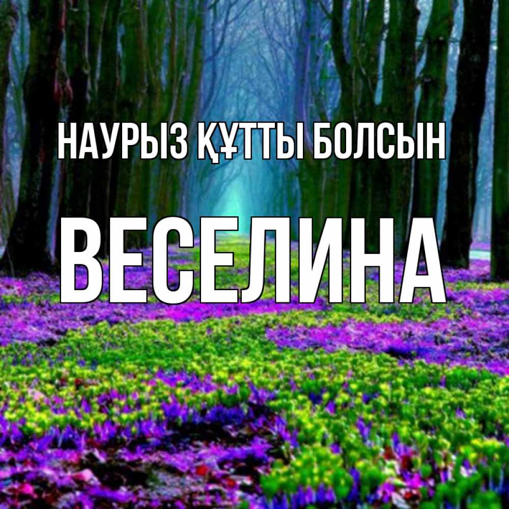 Открытка на каждый день с именем, Веселина Наурыз құтты болсын фиолетовые цветы в лесу 1 Прикольная открытка с пожеланием онлайн скачать бесплатно 