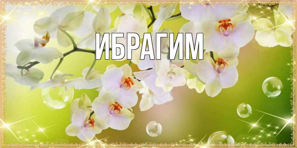 Открытка на каждый день с именем, Ибрагим Главная открытка с цветами на наурыз наурыз день Прикольная открытка с пожеланием онлайн скачать бесплатно 