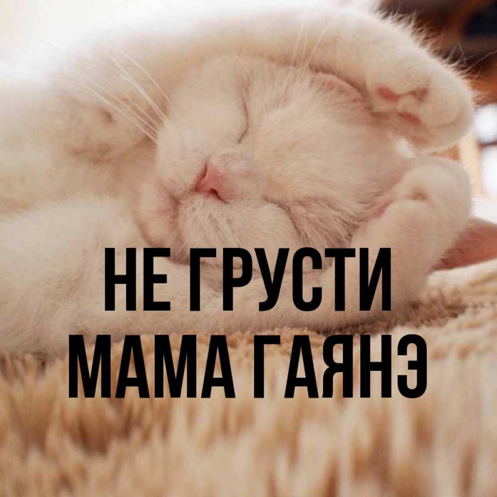Открытка на каждый день с именем, Мама-Гаянэ Не грусти Котенок спит Прикольная открытка с пожеланием онлайн скачать бесплатно 