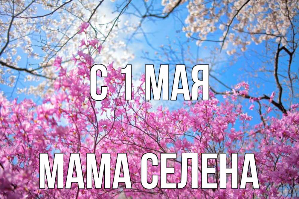 Открытка на каждый день с именем, Мама-Селена С 1 мая С 1 мая Прикольная открытка с пожеланием онлайн скачать бесплатно 