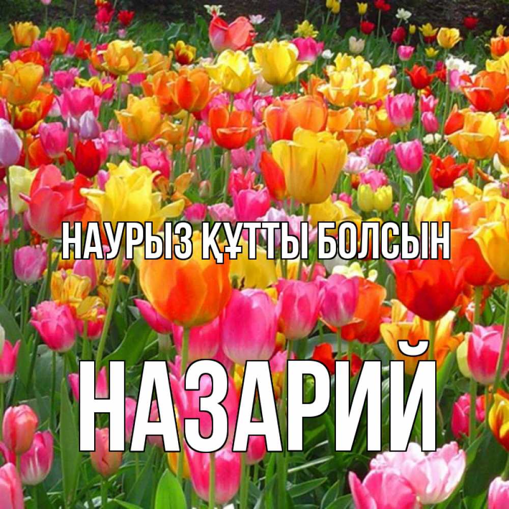 Открытка на каждый день с именем, Назарий Наурыз құтты болсын на наурыз  ура ура Прикольная открытка с пожеланием онлайн скачать бесплатно 