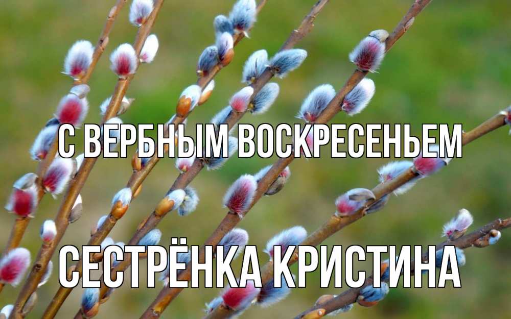 Открытка на каждый день с именем, Сестрёнка-Кристина С вербным воскресеньем верба Прикольная открытка с пожеланием онлайн скачать бесплатно 