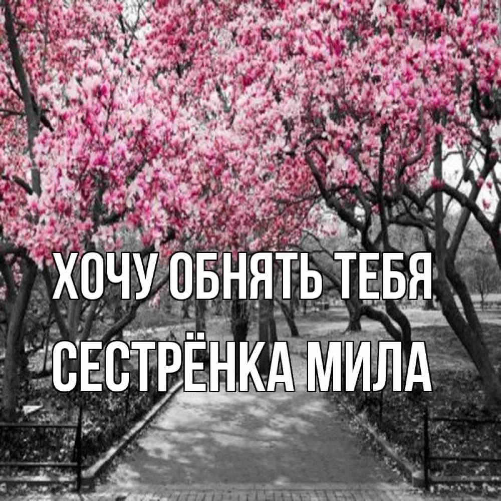 Открытка на каждый день с именем, Сестрёнка-Мила Хочу обнять тебя обработанное фото Прикольная открытка с пожеланием онлайн скачать бесплатно 