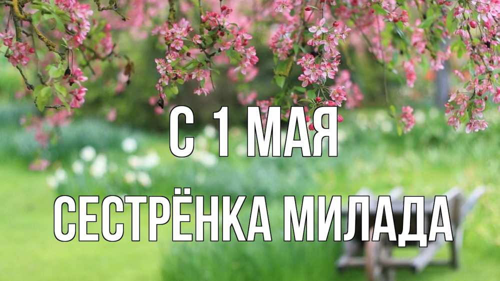 Открытка на каждый день с именем, Сестрёнка-Милада С 1 мая С 1 мая Прикольная открытка с пожеланием онлайн скачать бесплатно 