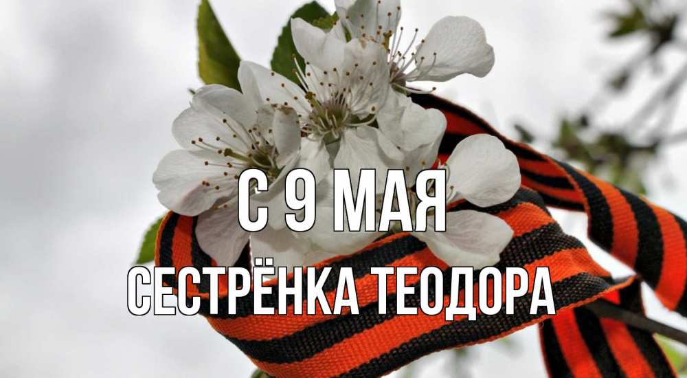 Открытка на каждый день с именем, Сестрёнка-Теодора С 9 мая 9 мая Прикольная открытка с пожеланием онлайн скачать бесплатно 