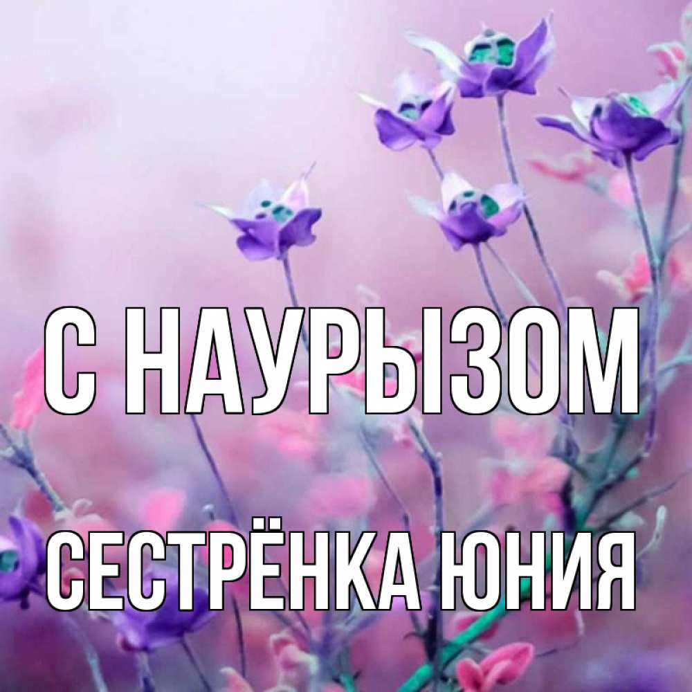 Открытка на каждый день с именем, Сестрёнка-Юния С наурызом международный женский день 2 Прикольная открытка с пожеланием онлайн скачать бесплатно 