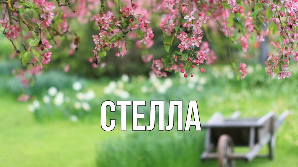 Открытка на каждый день с именем, Стелла Главная С 1 мая Прикольная открытка с пожеланием онлайн скачать бесплатно 