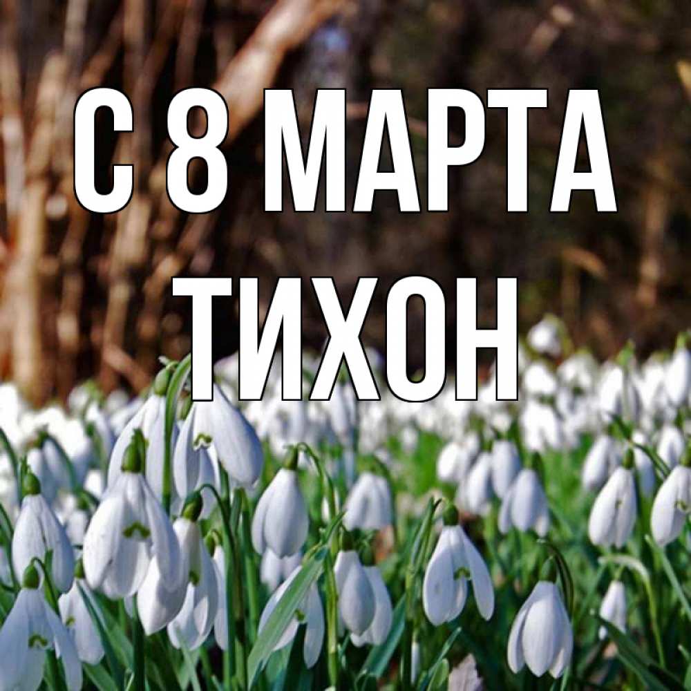 Открытка на каждый день с именем, Тихон С 8 МАРТА с подснежниками 1 Прикольная открытка с пожеланием онлайн скачать бесплатно 