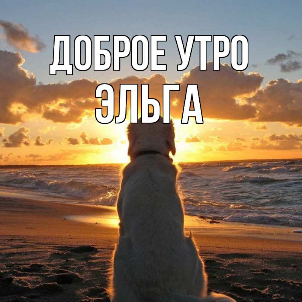 Открытка на каждый день с именем, Эльга Доброе утро восход солнца Прикольная открытка с пожеланием онлайн скачать бесплатно 