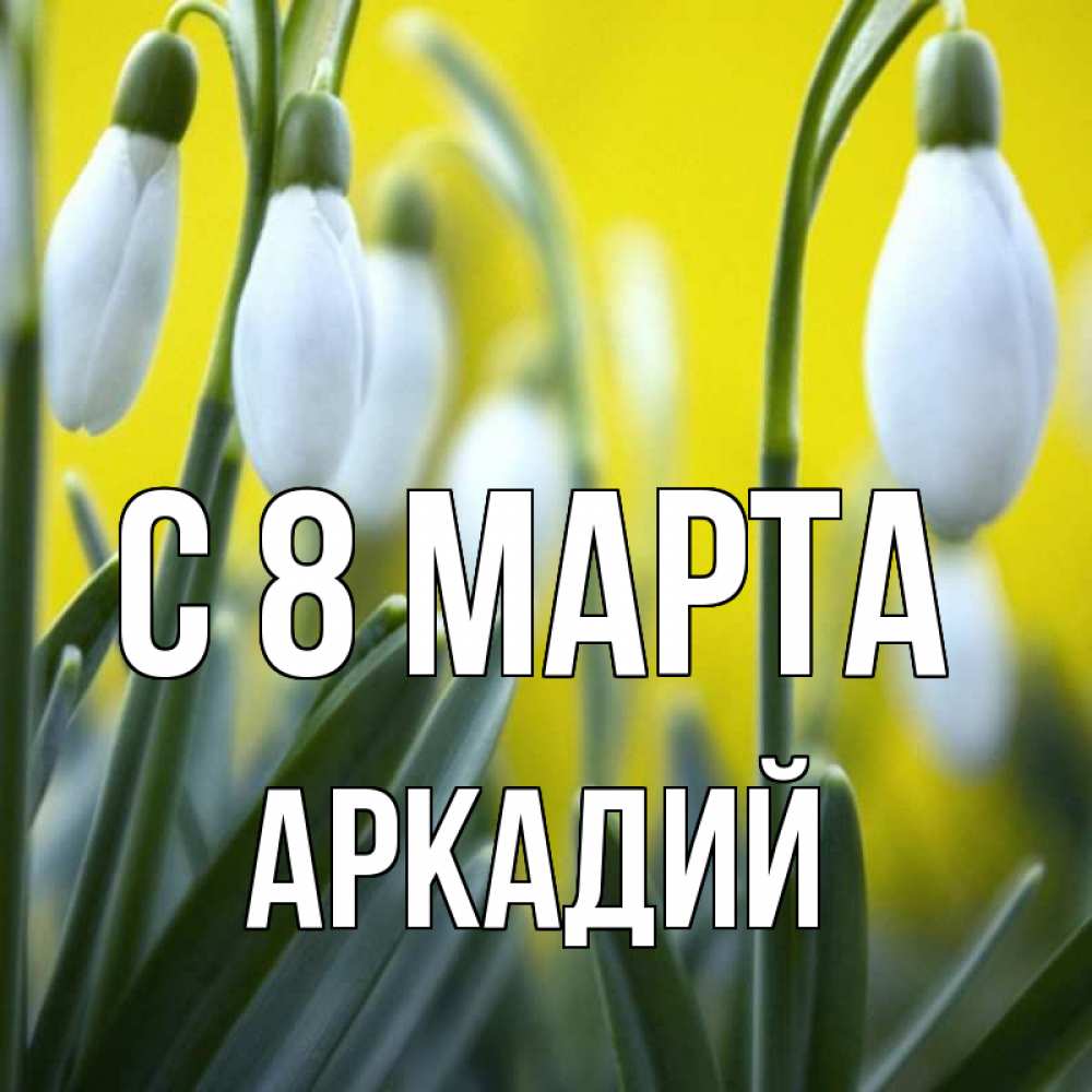 Открытка на каждый день с именем, Аркадий С 8 марта весенние цветы Прикольная открытка с пожеланием онлайн скачать бесплатно 