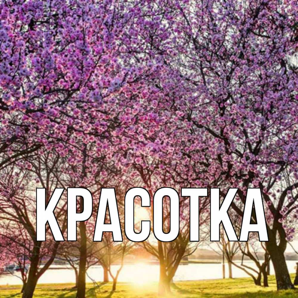 Открытка на каждый день с именем, красотка Главная праздник весны наурыз Прикольная открытка с пожеланием онлайн скачать бесплатно 