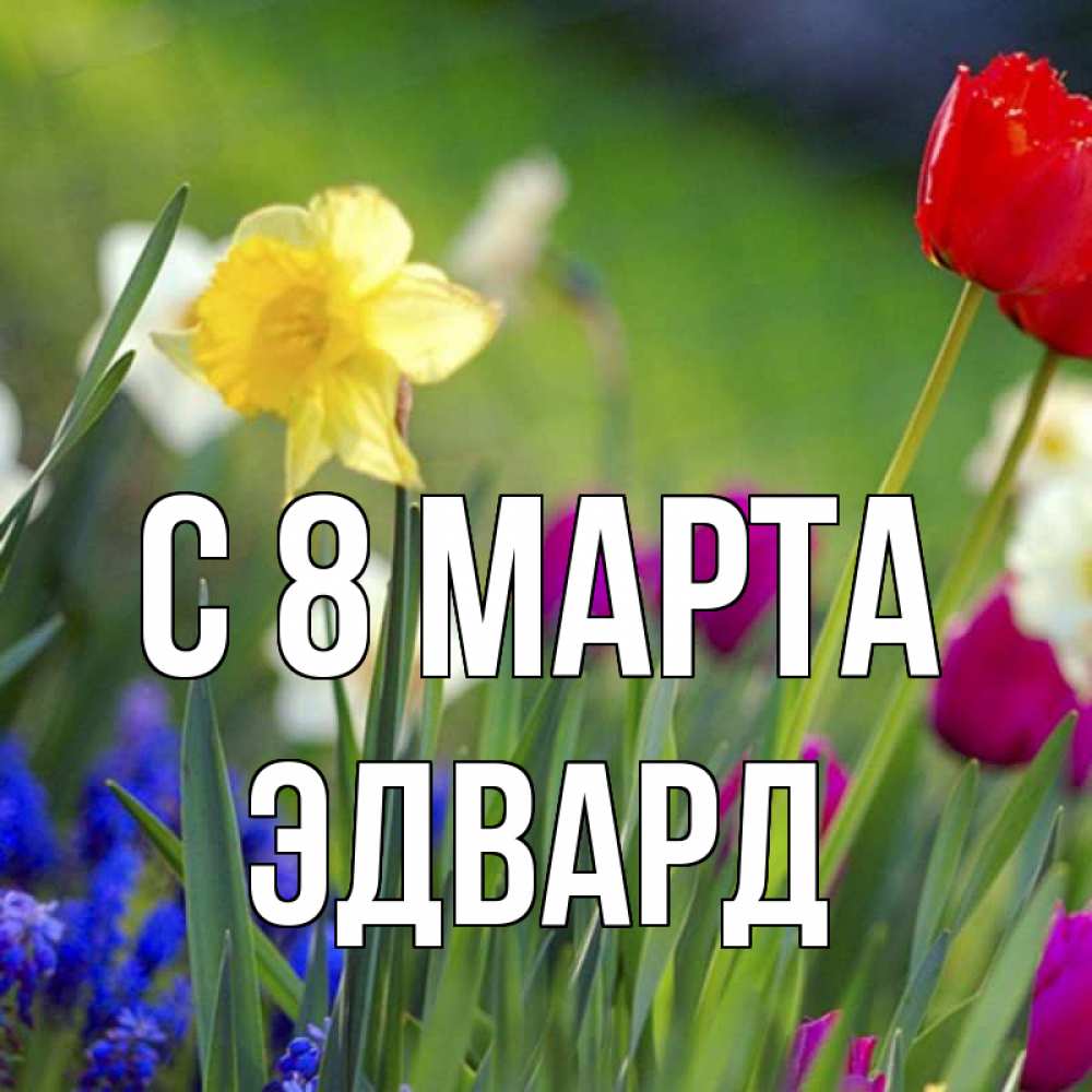 Открытка на каждый день с именем, Эдвард С 8 марта международный женский день 3 Прикольная открытка с пожеланием онлайн скачать бесплатно 