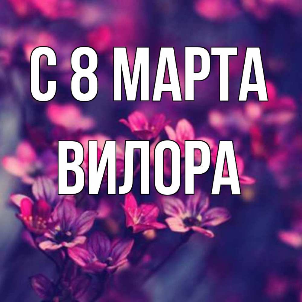 Открытка на каждый день с именем, Вилора С 8 марта небольшие цветы 1 Прикольная открытка с пожеланием онлайн скачать бесплатно 