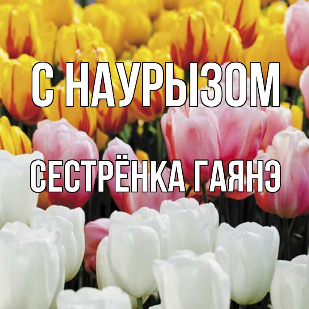 Открытка на каждый день с именем, Сестрёнка-Гаянэ С наурызом разноцветные цветы Прикольная открытка с пожеланием онлайн скачать бесплатно 