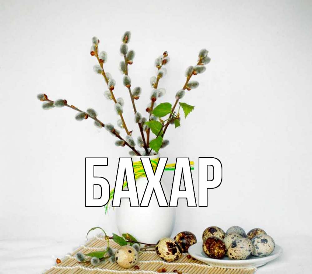 Открытка на каждый день с именем, Бахар Главная верба Прикольная открытка с пожеланием онлайн скачать бесплатно 