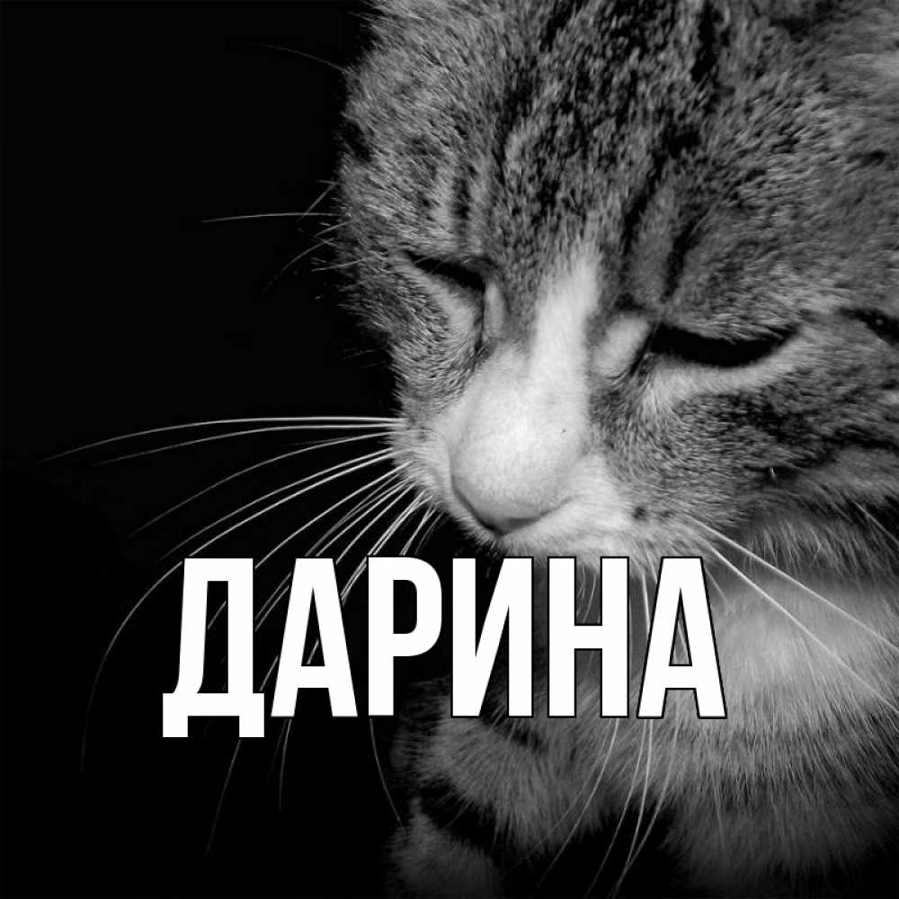 Открытка на каждый день с именем, Дарина Главная мне скучно Прикольная открытка с пожеланием онлайн скачать бесплатно 