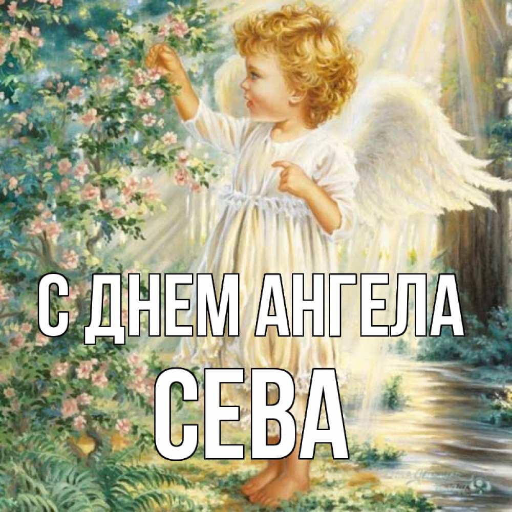 Картинка С днем ангела, Сева