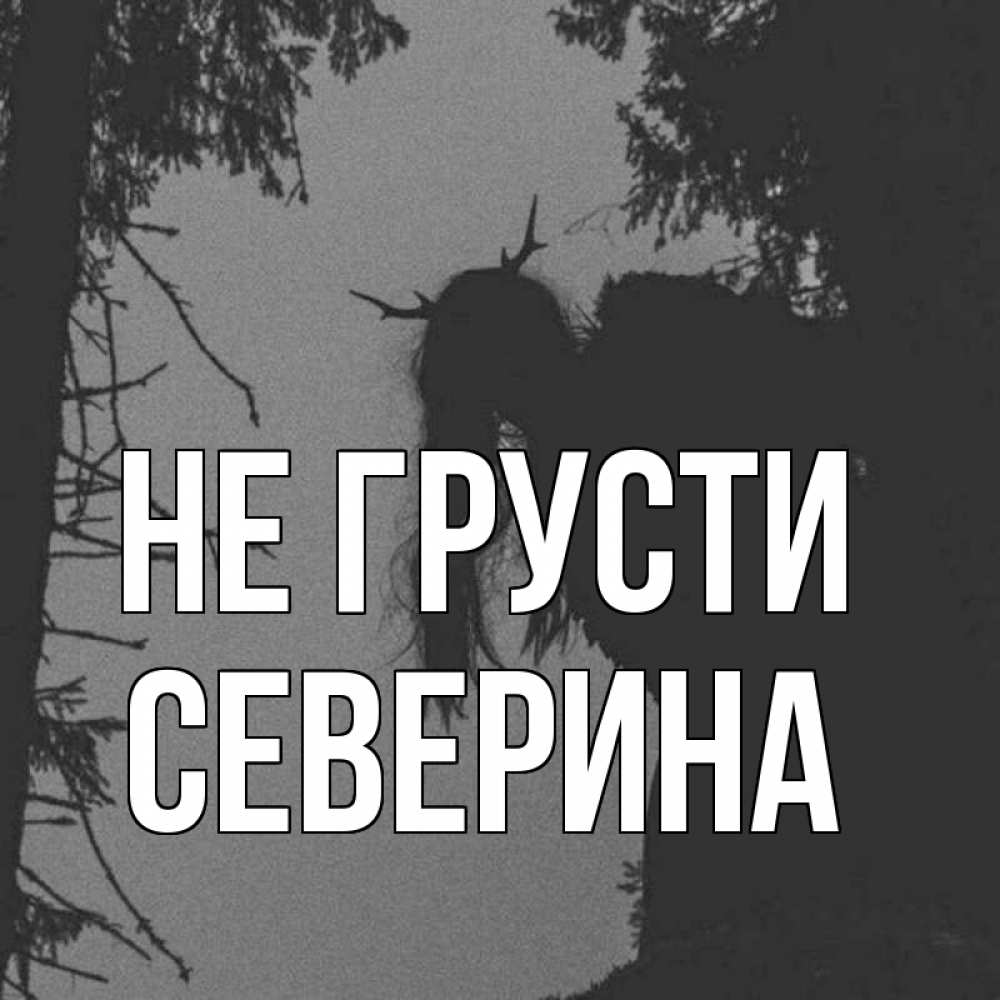Открытка на каждый день с именем, Северина Не грусти чудище лесное Прикольная открытка с пожеланием онлайн скачать бесплатно 