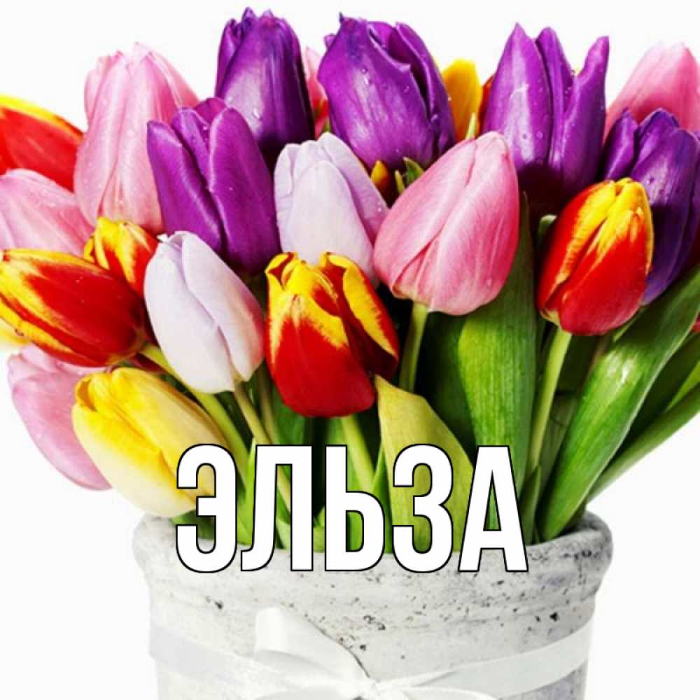 Картинка  с именем , Эльза