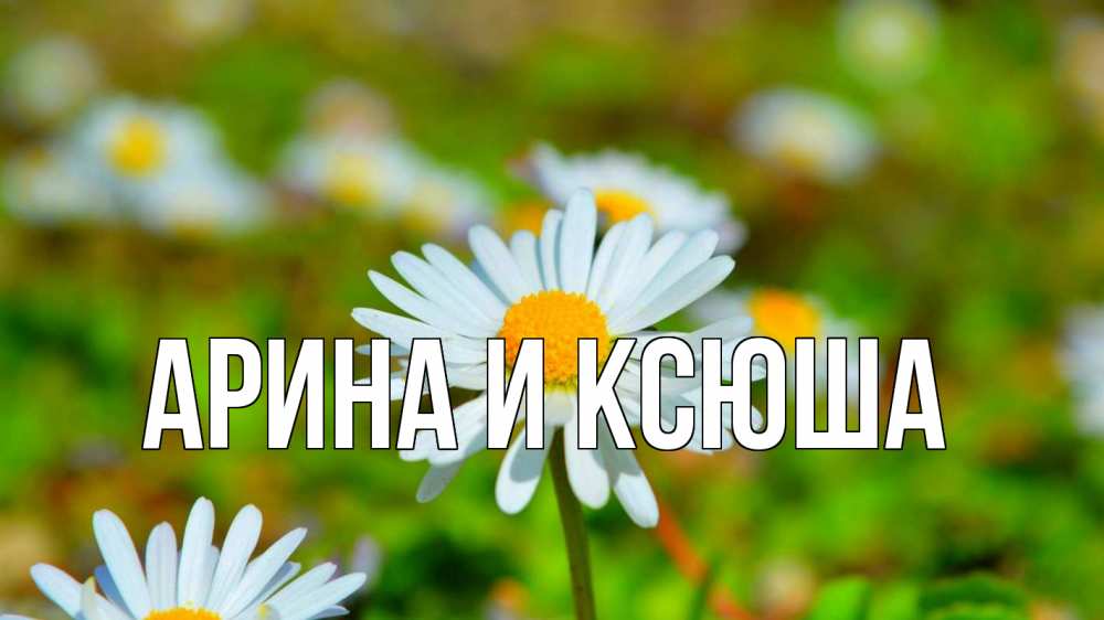 Открытка на каждый день с именем, Арина-и-Ксюша Главная с днем семьи Прикольная открытка с пожеланием онлайн скачать бесплатно 