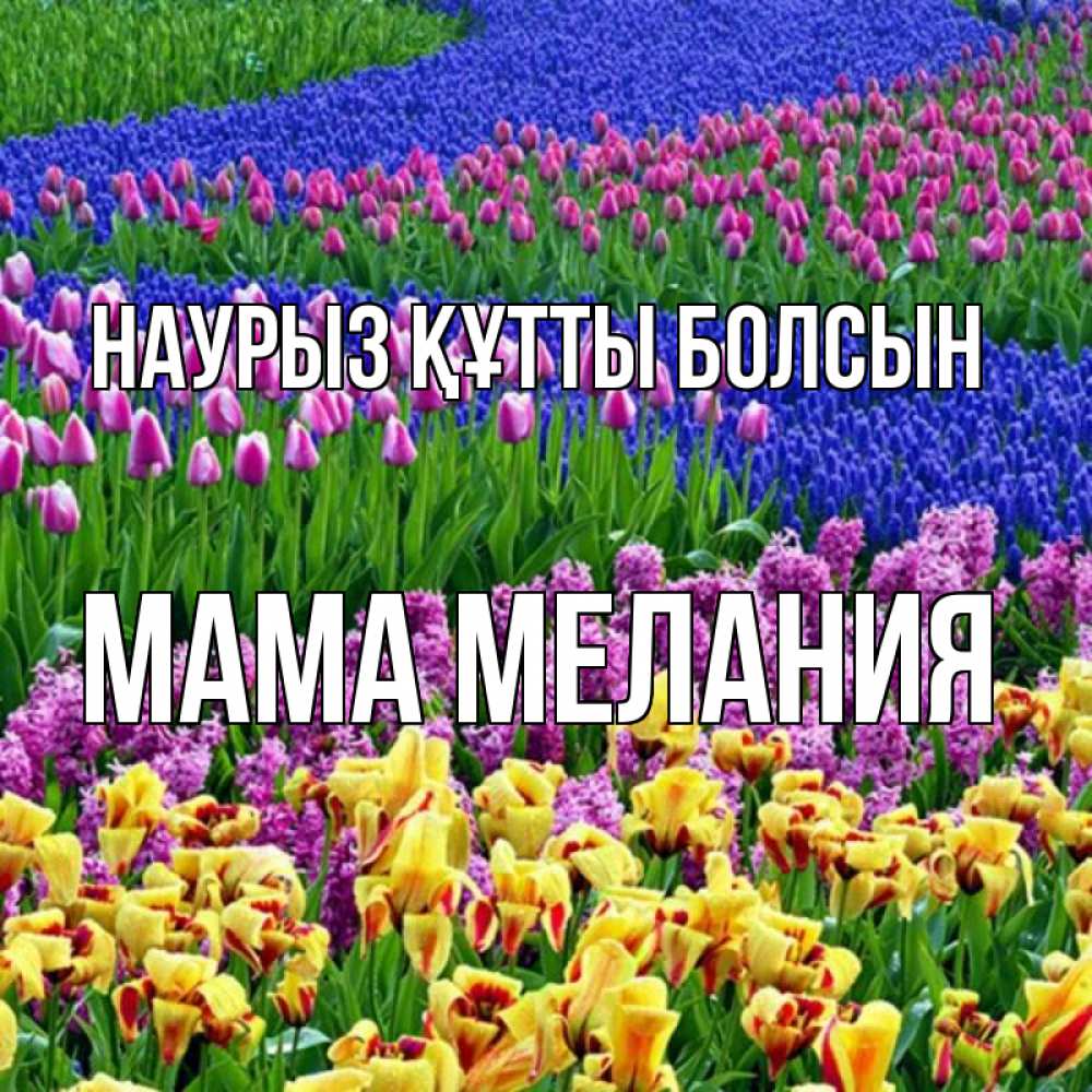 Открытка на каждый день с именем, Мама-Мелания Наурыз құтты болсын цветы Прикольная открытка с пожеланием онлайн скачать бесплатно 